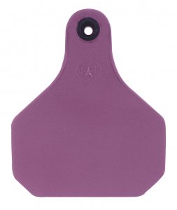 PYthon® II Insecticide Ear Tag from Y-Tex