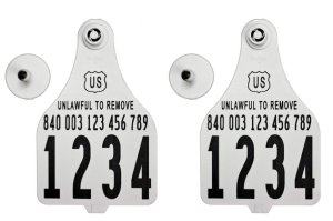 Official USDA '840' Tamper Evident Cattle Visual Matched Pair Tag Set (Destron Fearing) - Extra Large