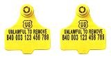 Official USDA '840' Tamper Evident Cattle Visual Matched Pair Tag Set (Destron Fearing) - Medium