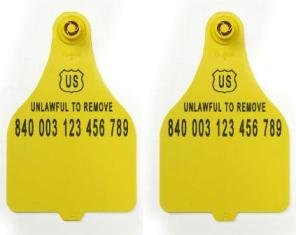 Official USDA '840' Tamper Evident Cattle Visual Matched Pair Tag Set (Destron Fearing) - Extra Large