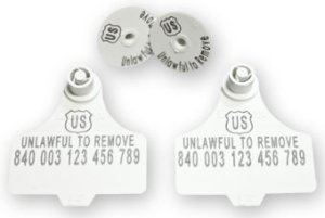 Official USDA '840' Tamper Evident Cattle Visual Matched Pair Tag Set (Destron Fearing) - Medium