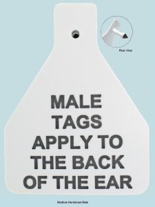 Male Herdsman Tags - Medium