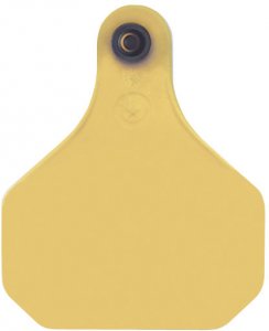 XP 820® Insecticide Ear Tags from Y-Tex